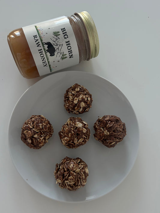 Easy Peanut Butter Honey Protein Balls