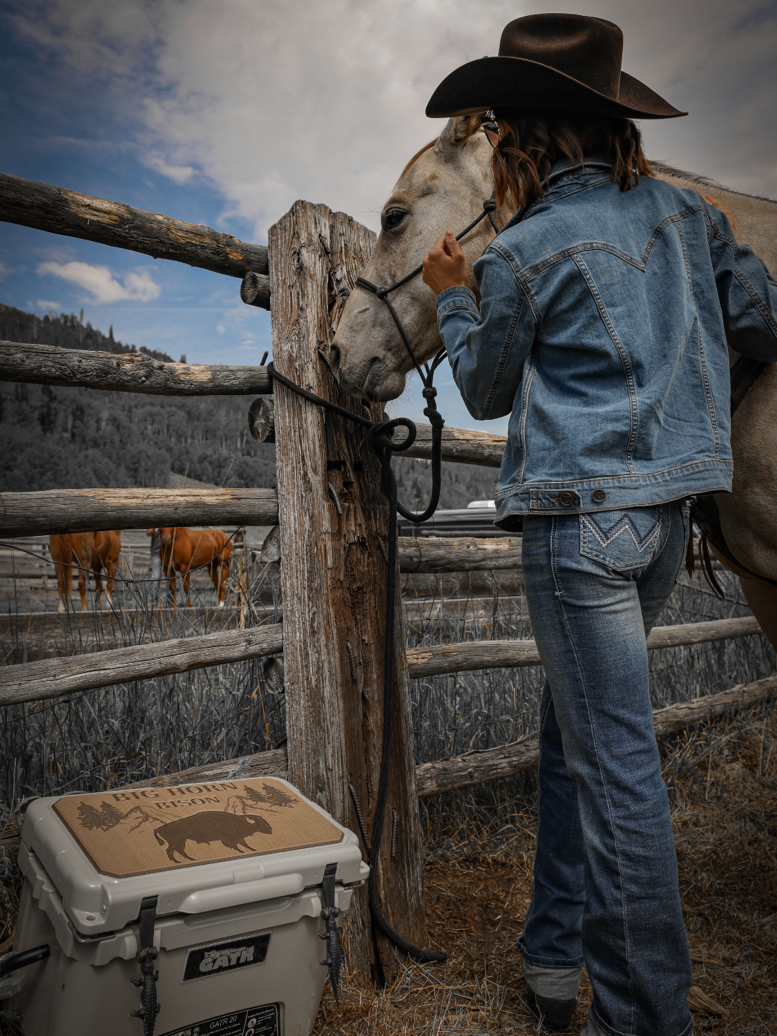 GATR Cooler 20