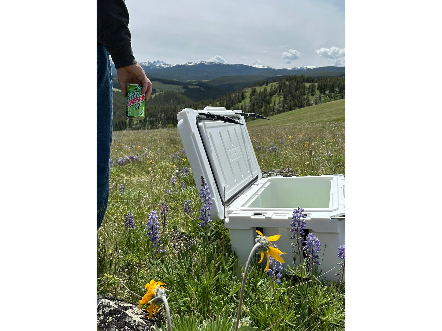 GATR Cooler 45