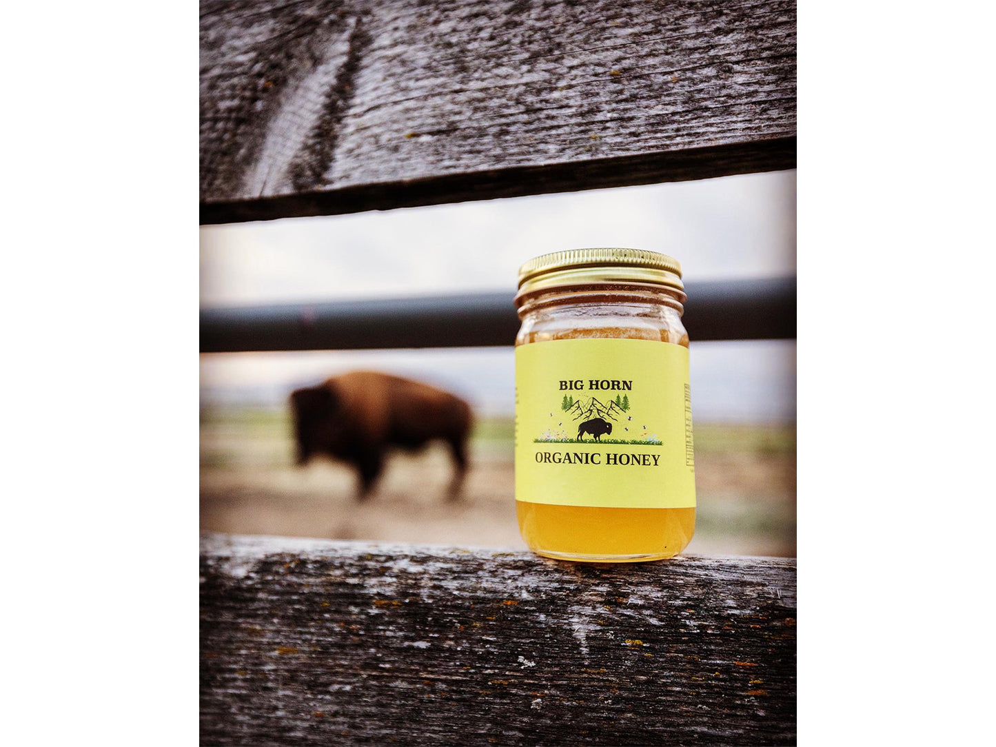 Raw Honey - 16 oz