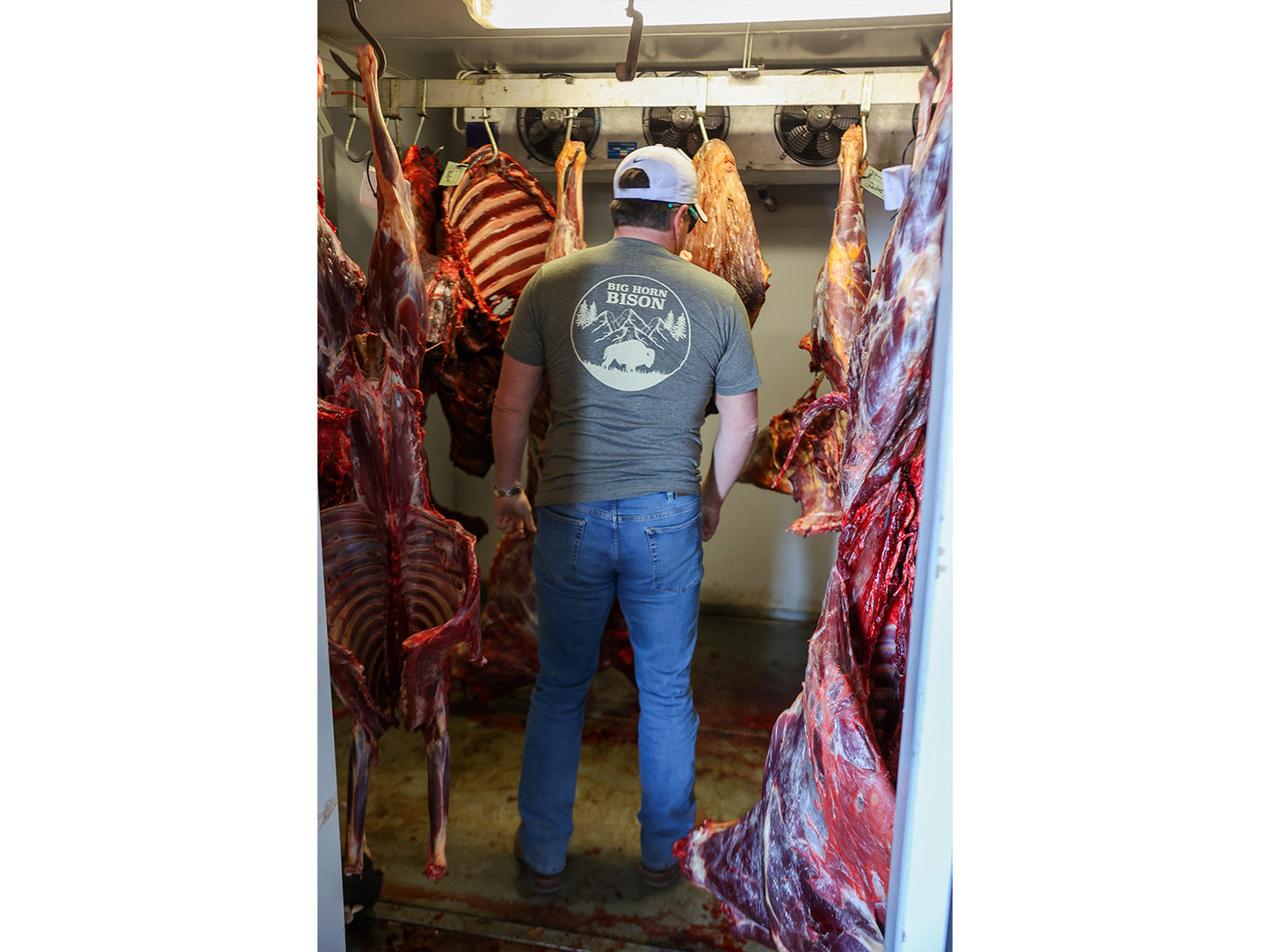 Big Horn Bison Ranch T-Shirts