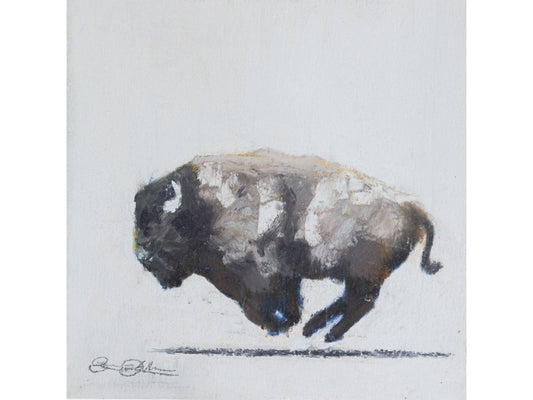 Absorka Bison Grey
