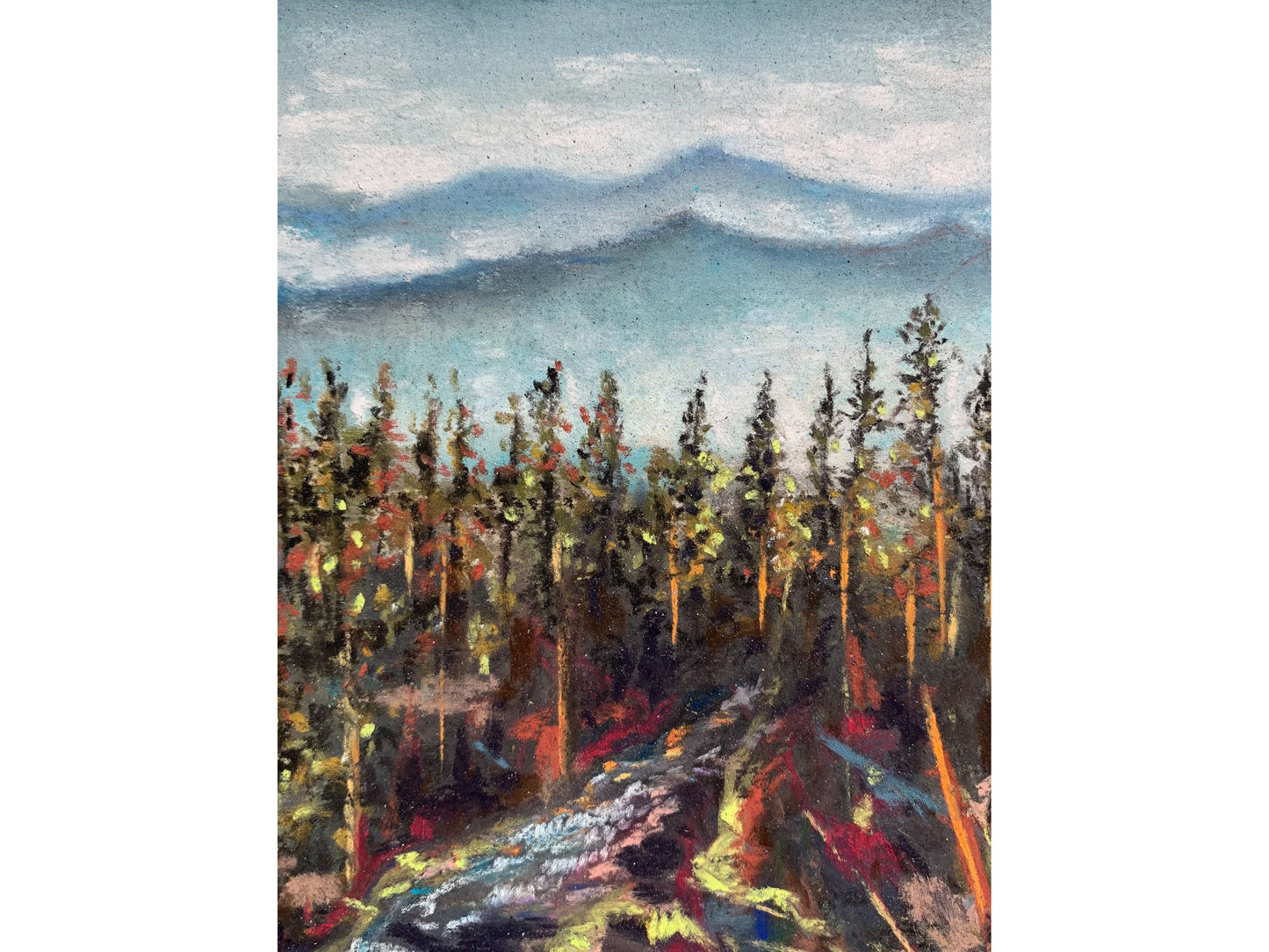 Smokey Mountians