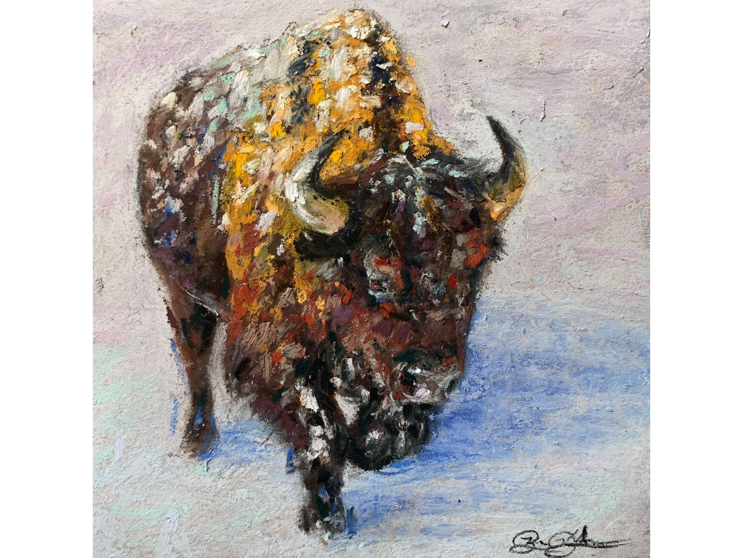 Bison in Snow
