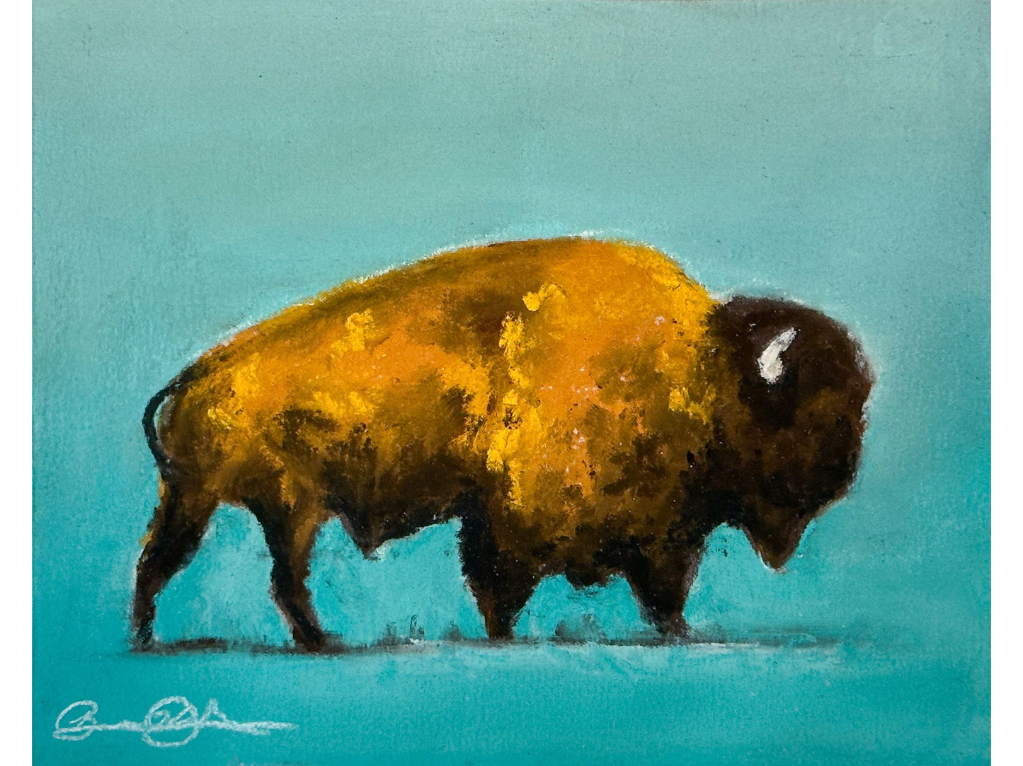Big Horn Bison Teal/Yellow