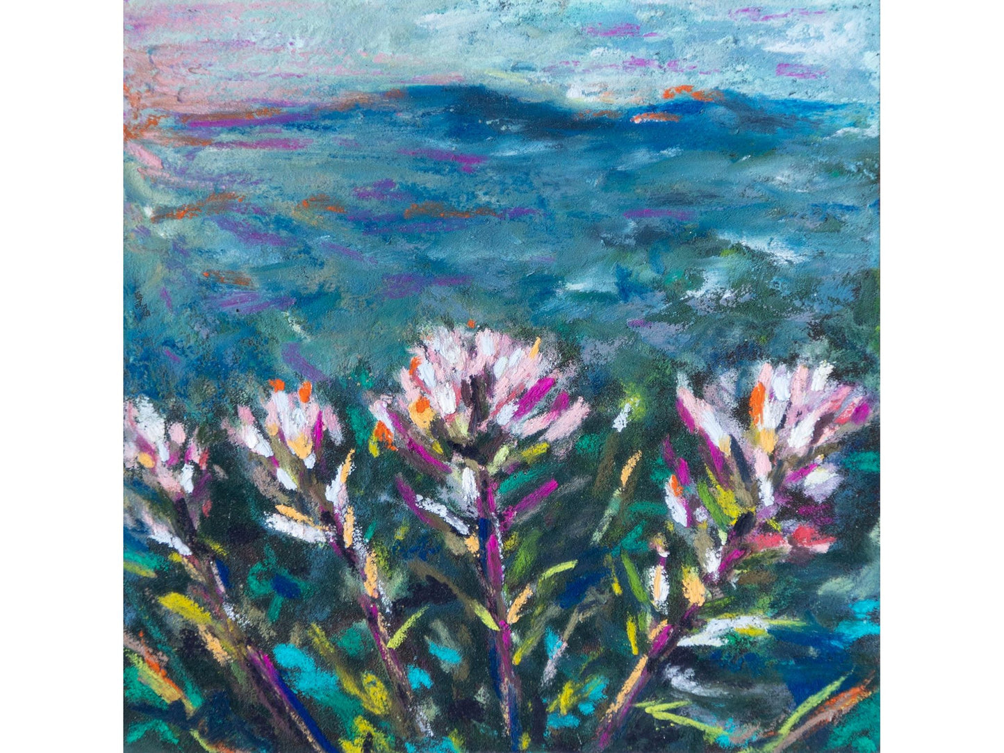 Indian Paintbrush White and Pink