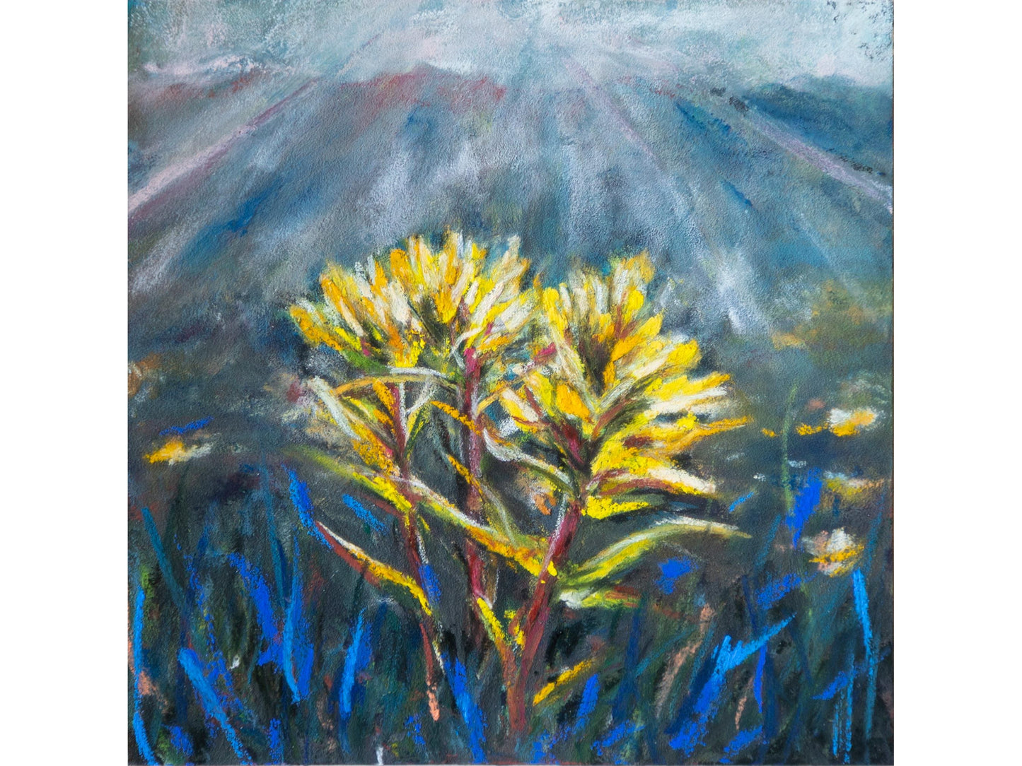 Indian Paintbrush Yellow and Blue