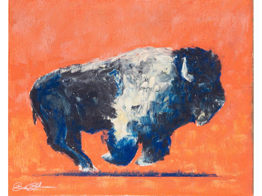 Wind River Bison Navy and Coral
