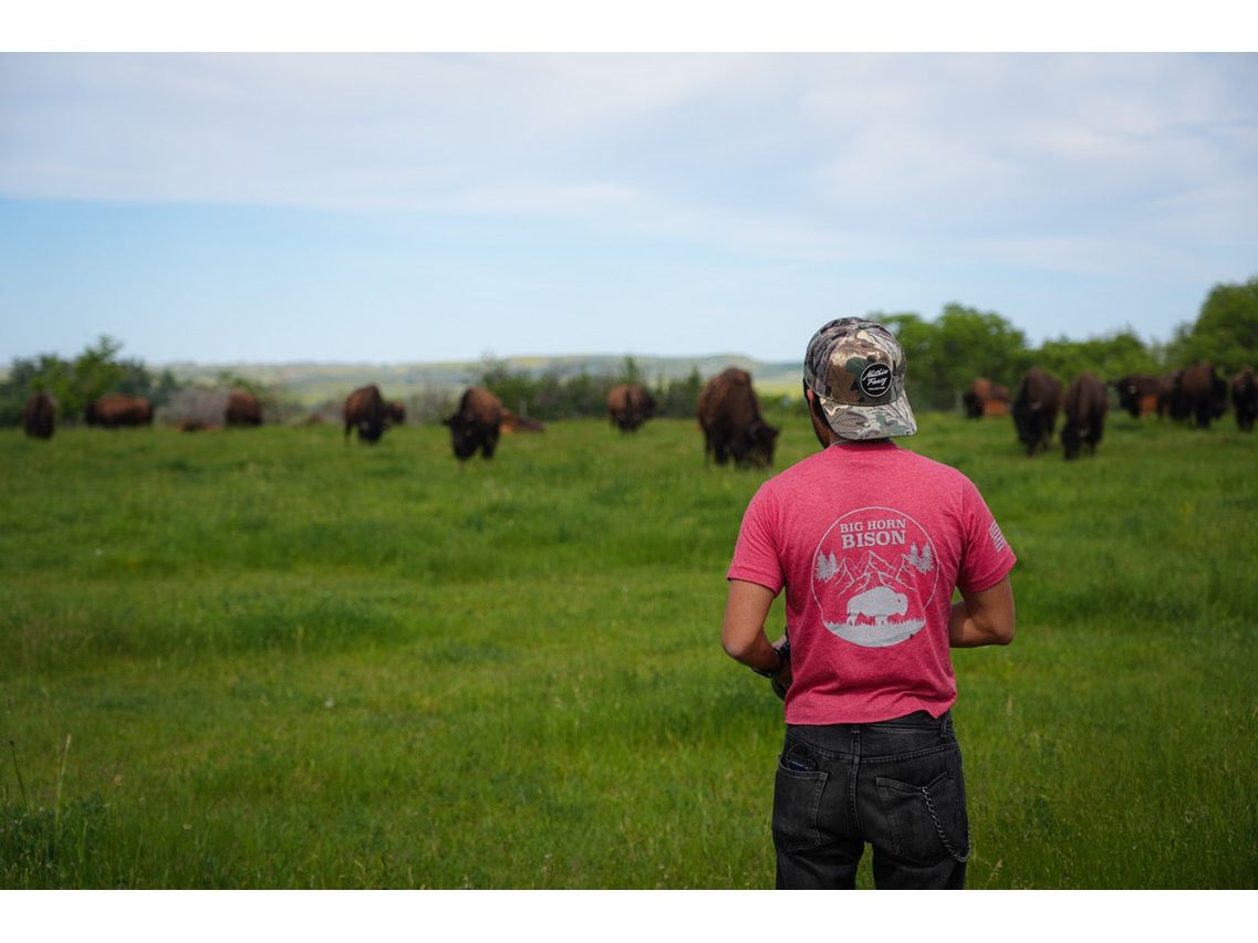 Big Horn Bison Ranch T-Shirts