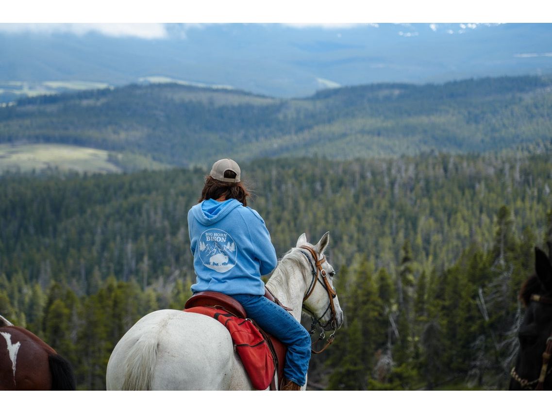 Big Horn Bison Ranch Hoodie