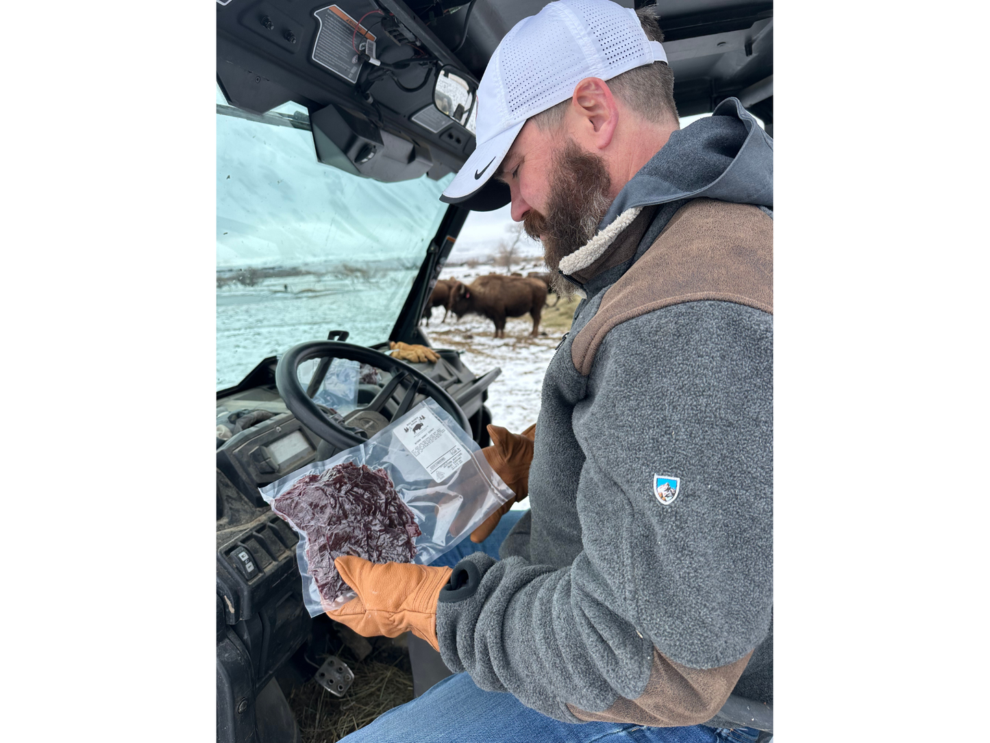 Original - Bison Jerky
