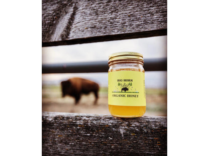 Raw Honey - 16 oz