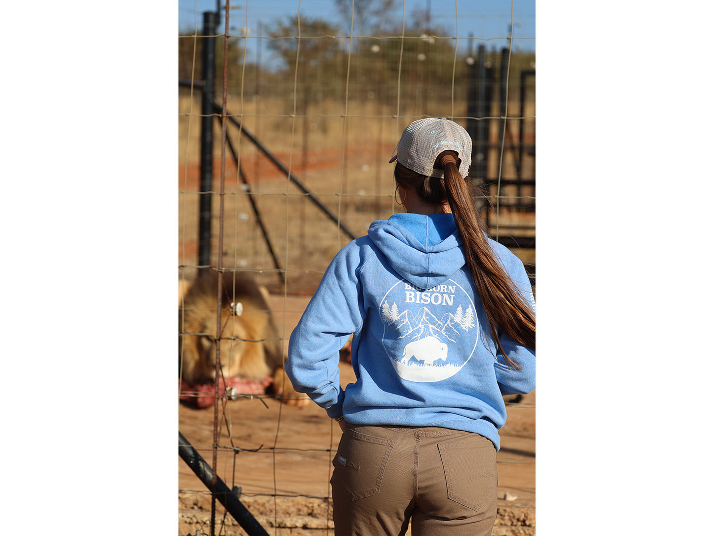 Big Horn Bison Ranch Hoodie