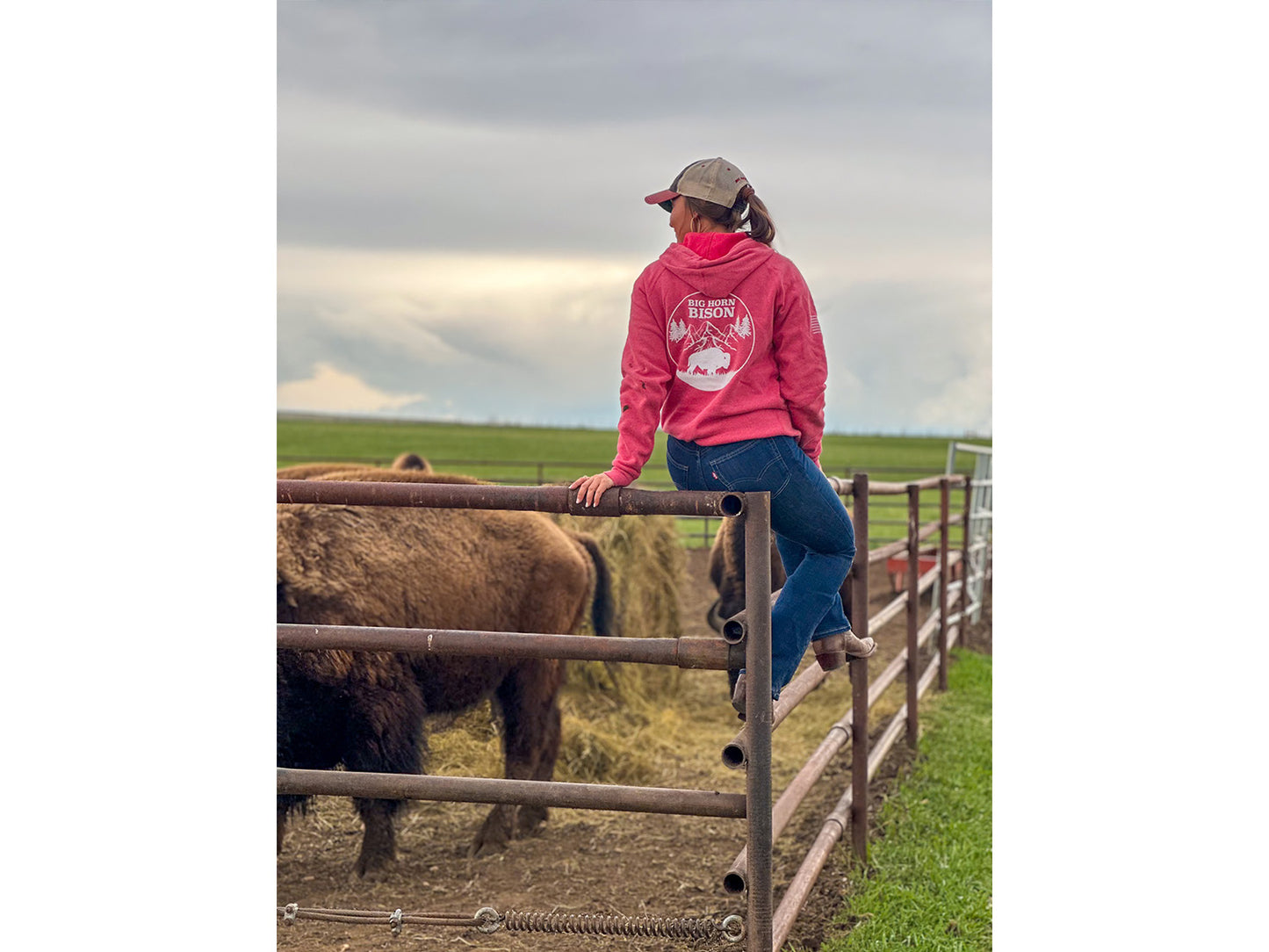 Big Horn Bison Ranch Hoodie