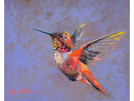 Rufous Hummingbird