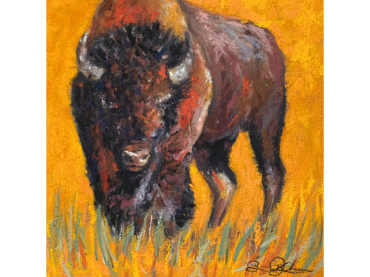 Summer Sun Bison