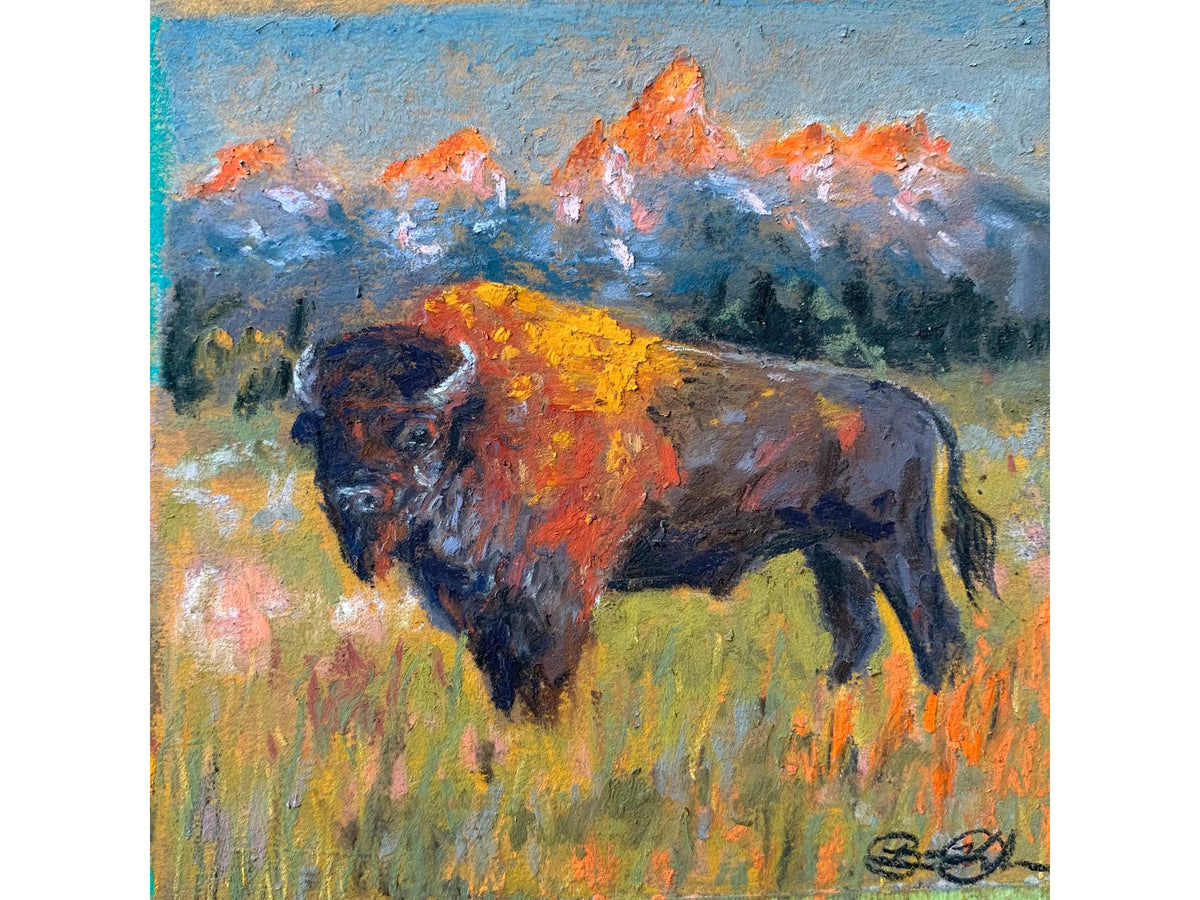 Teton Sunset Bison