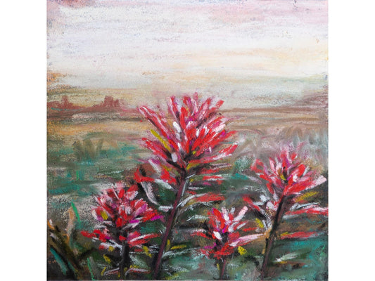 Indian Paintbrush Red