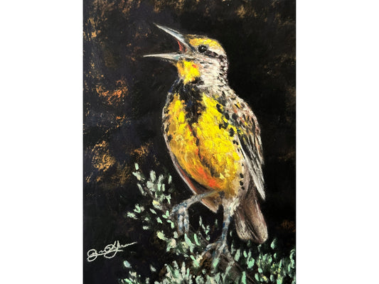Western Meadowlark