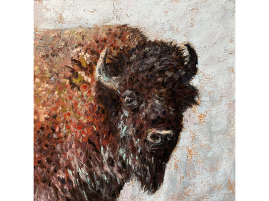 Winter Bison
