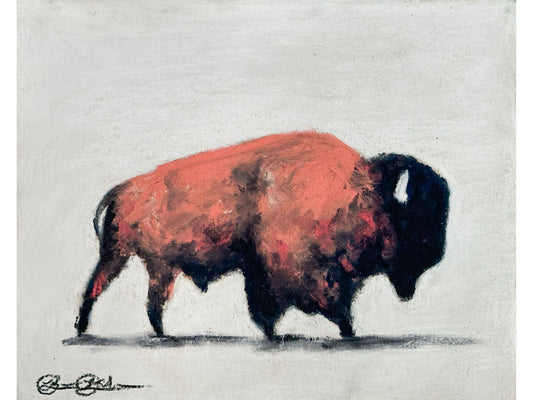 Big Horn Bison Navy/Coral