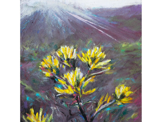 Indian Paintbrush Yellow and Mauve