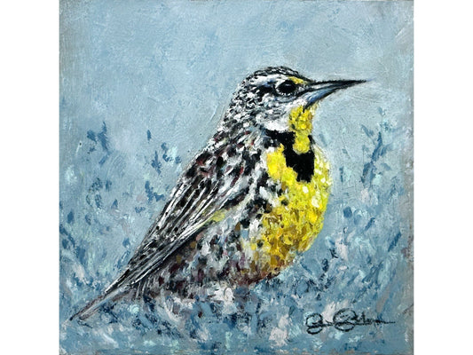 Icy Meadowlark