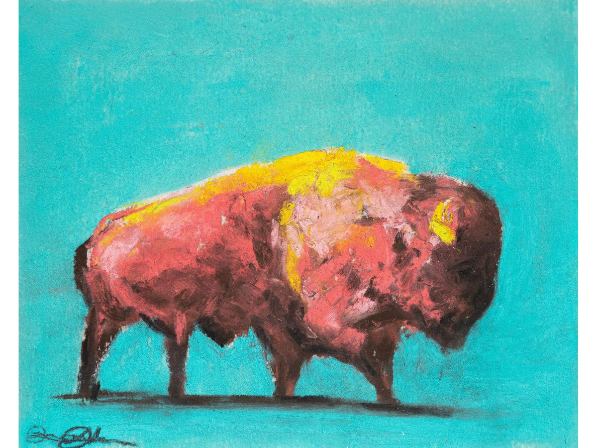 Big Horn Bison Pink and Teal